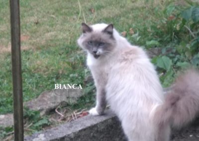 BIANCA