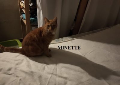 MINETTE-768x1024