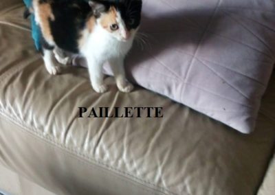 PAILLETTE-2-576x1024