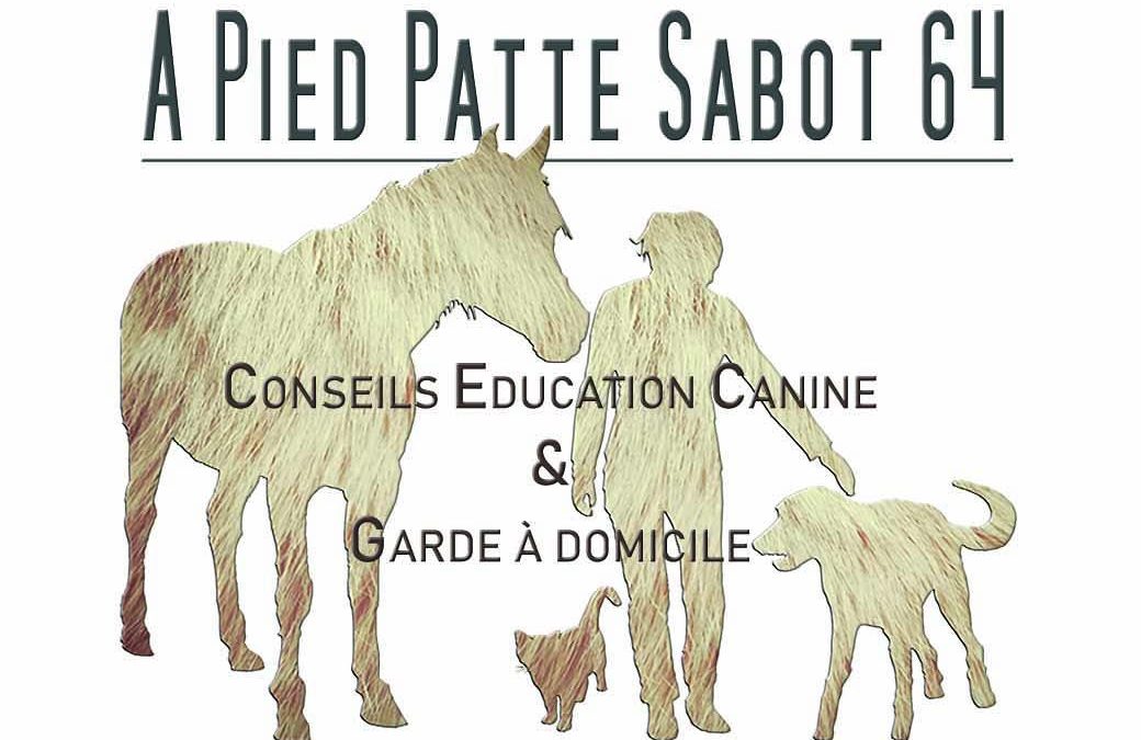 A pied pattes sabot 64