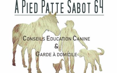 A pied pattes sabot 64