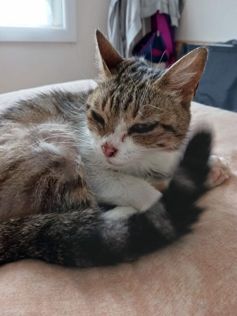 Freya